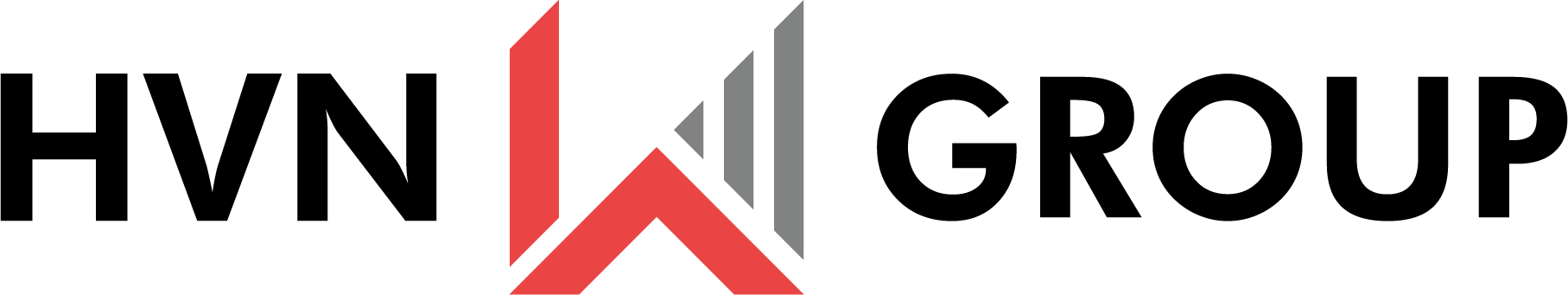 HVN GROUP