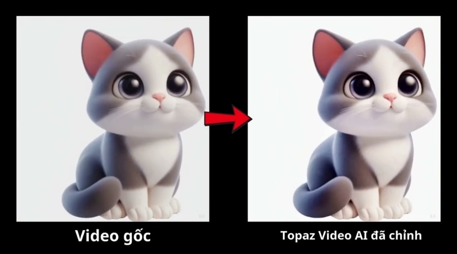 Hướng dẫn sử dụng cơ bản Topaz Photo AI